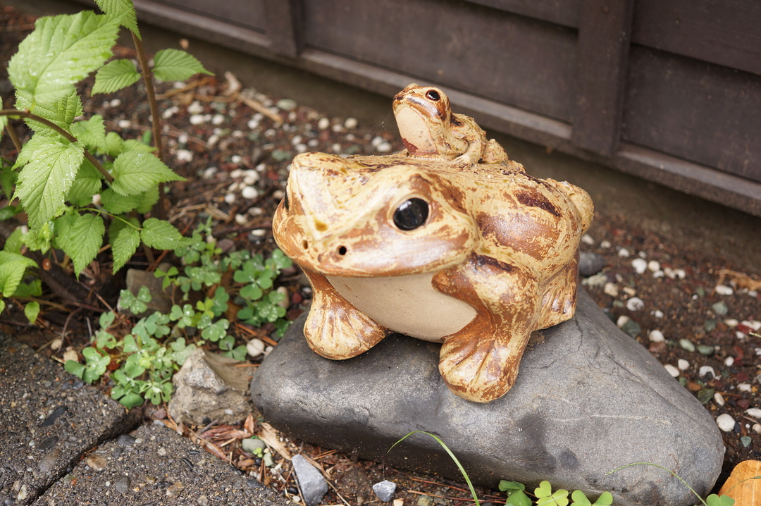 Thumb e892eb0d 9c28 4bb9 ac98 0cad7caa41c3