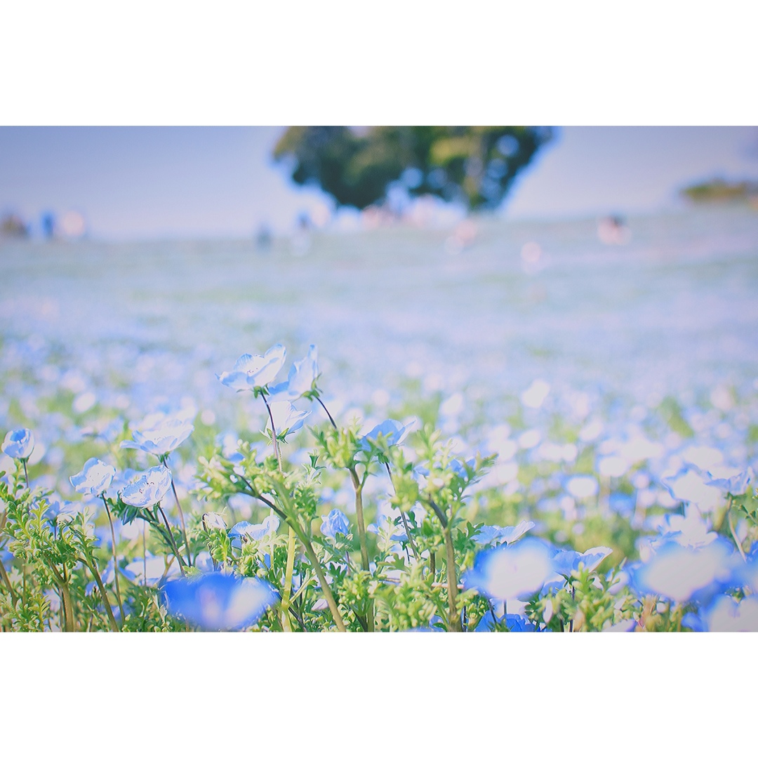 Thumb 59fa67b4 c927 4544 856b 8b24559e9474