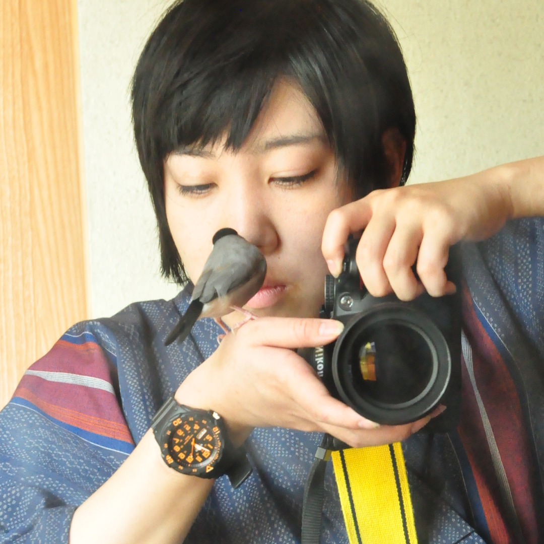 Thumb 82ec6304 e5e0 420c a5e9 f5e966199dc8