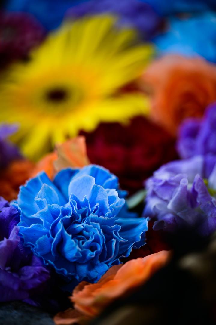 Thumb 7095a1fa 87fb 4434 97ab da7a10a6d294