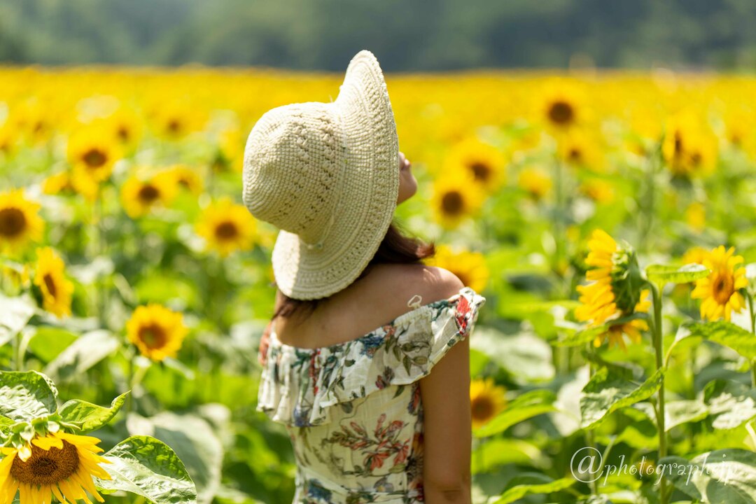 Thumb 6c141b64 abff 4dc5 92ec a04cad7f7cbc