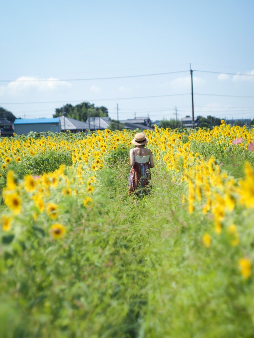 Thumb b8d5d176 c696 4c37 93f6 abcb085ead7d