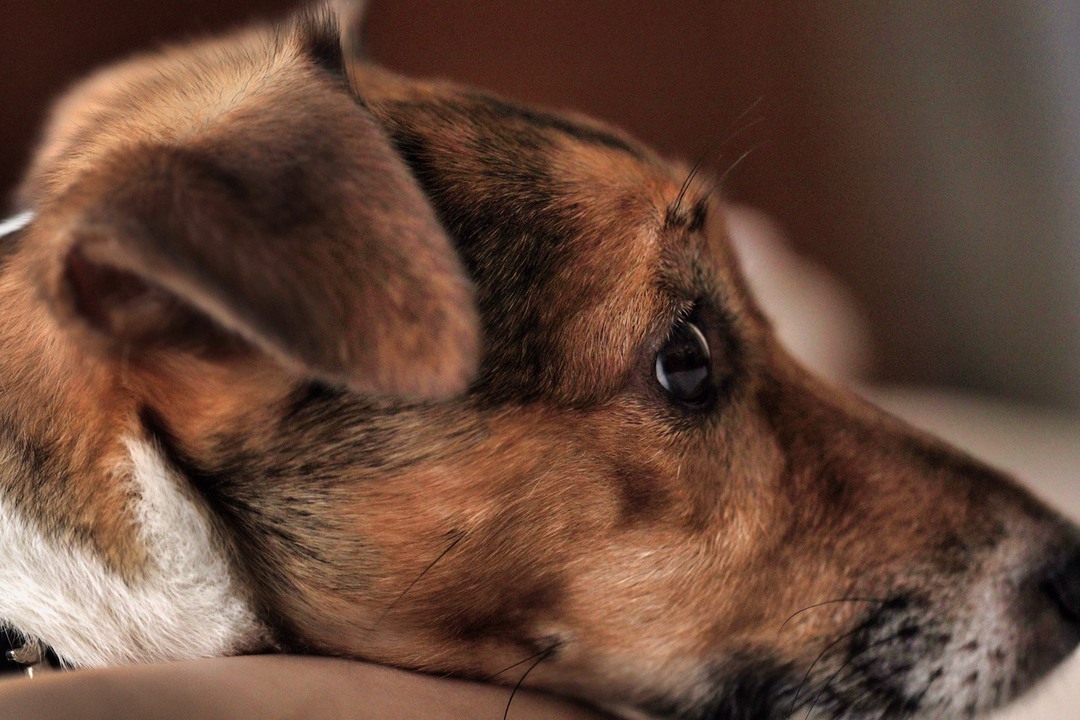 Thumb 4df73e97 0712 4275 a14e 60a87a27d337