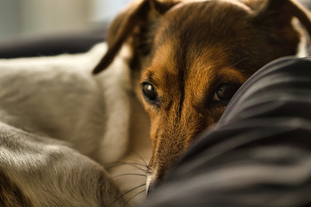 Thumb 78c07da6 128f 4ddd 86ec 81085737a7f2