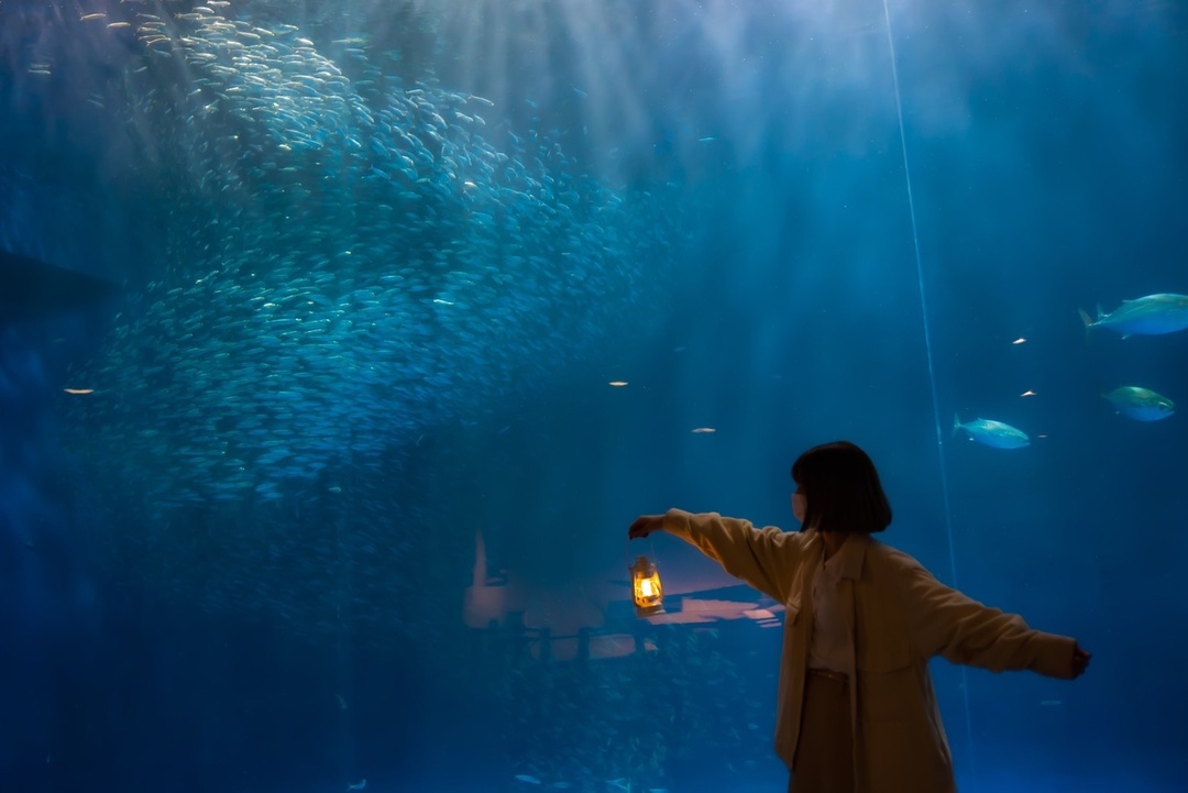 Thumb eb42b95e 9e51 4797 9c26 353bb9ea42a8