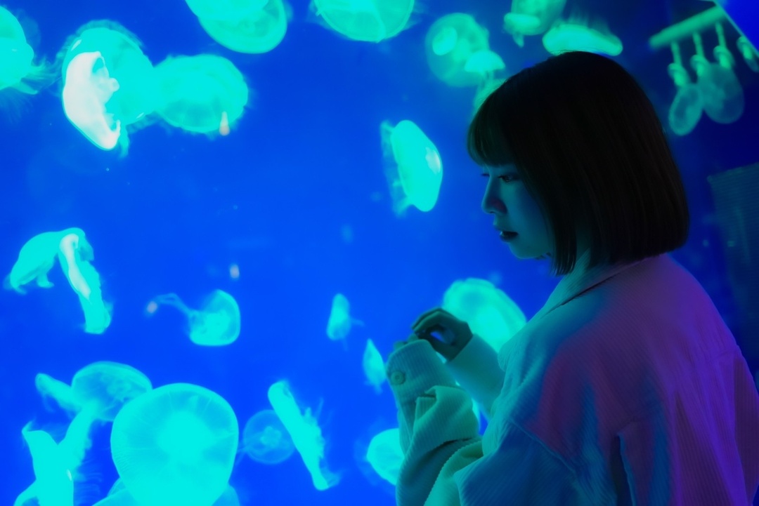 Thumb b4807acc fe8e 4a56 a6e5 964e8c633725