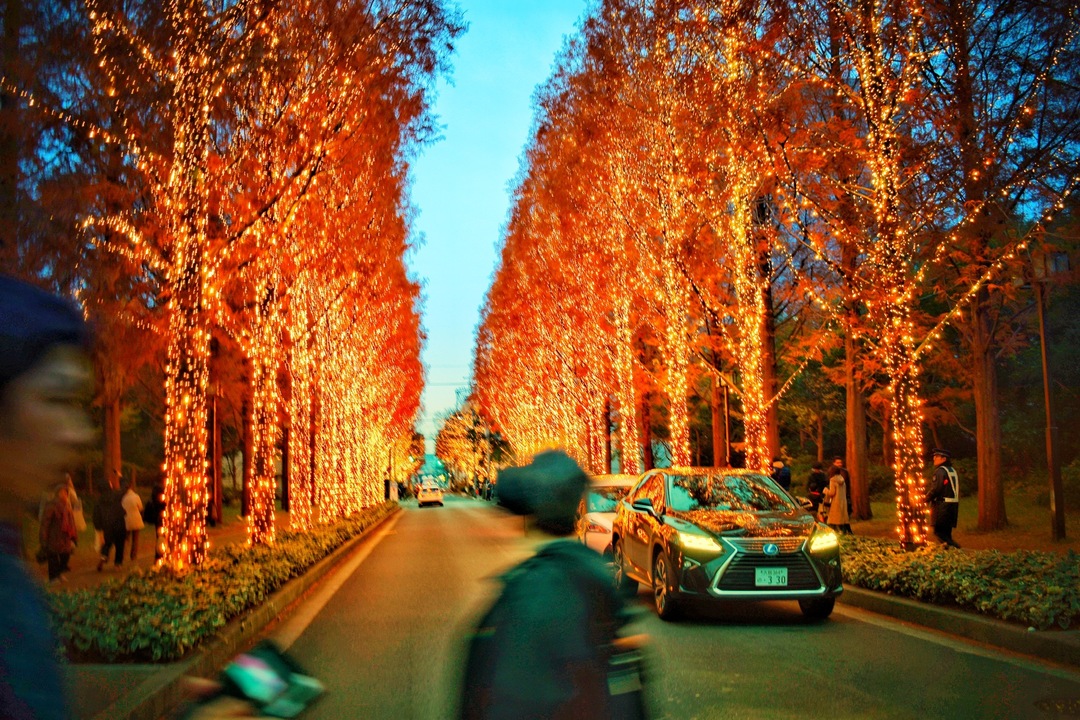 Thumb 02120142 40cf 4ef0 89d7 4d539e476a30