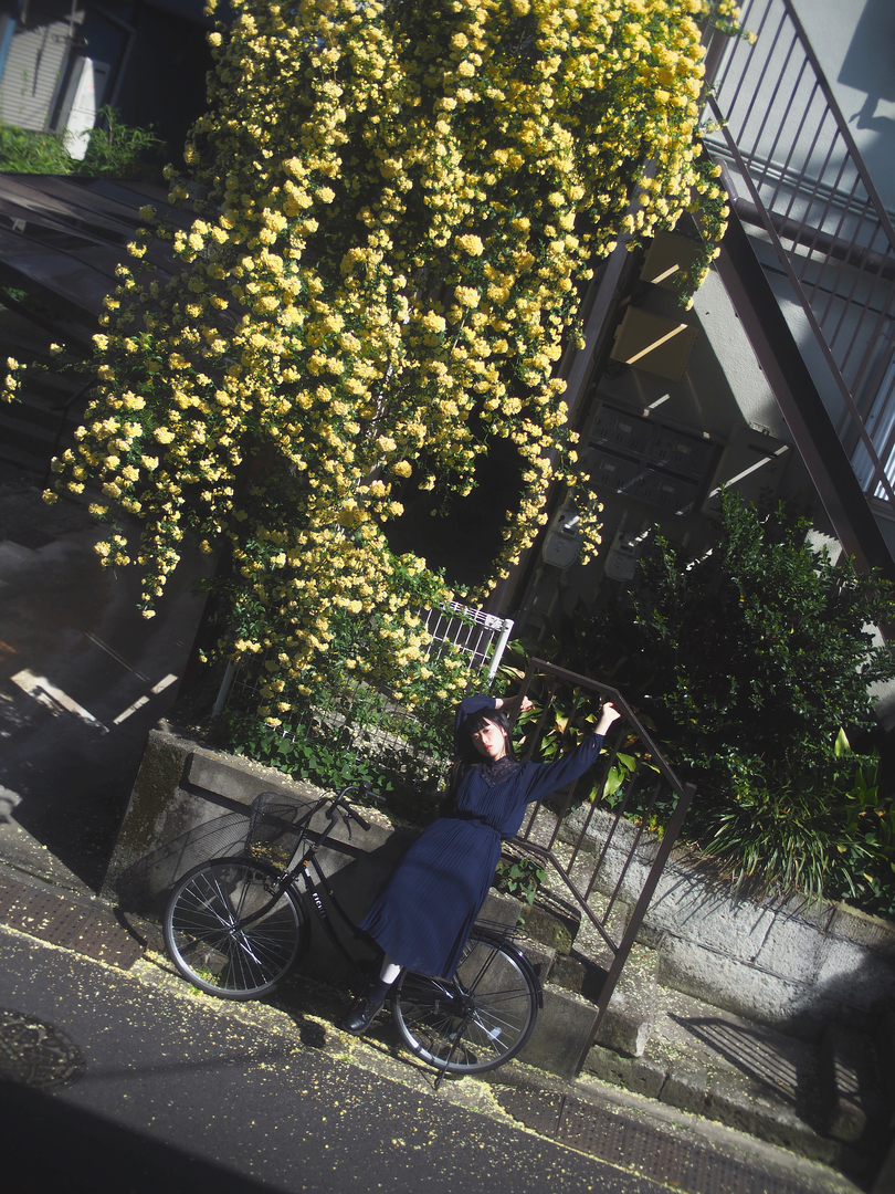 Thumb 54ce66eb 31e5 4e9f 8d5a 8d565df8e5fb