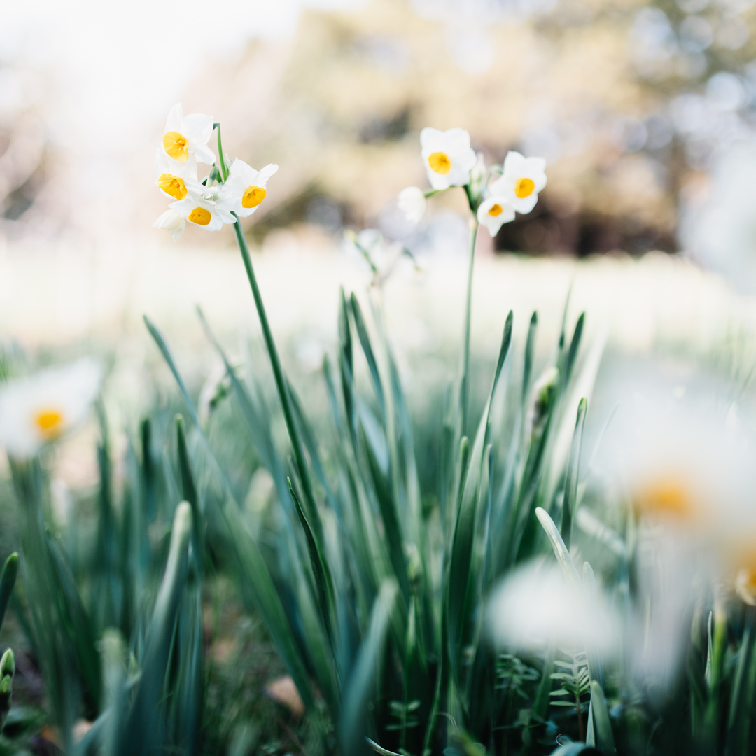 Thumb 53964f92 ff2c 45e8 9e5d 27e48c0fb8ed