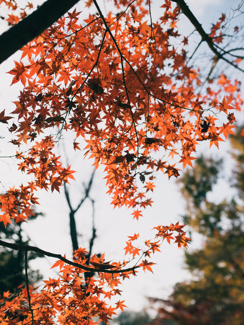 Thumb 5f68394f bbf3 421f a815 61f4fca60bcb