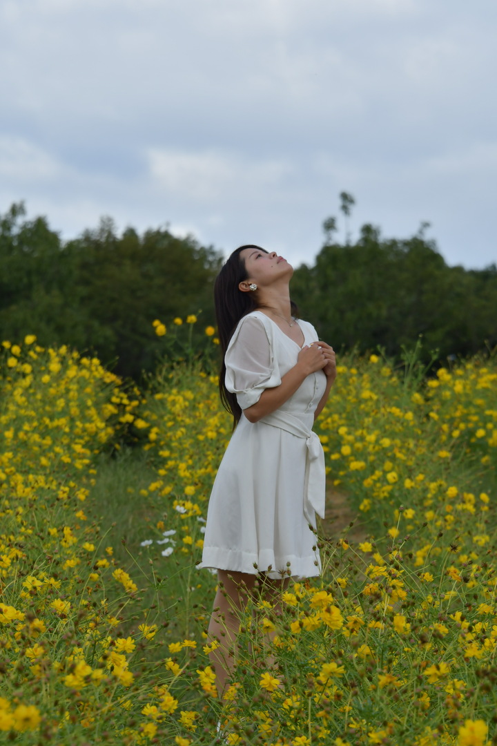 Thumb e468f39d 4ae2 4a9c b99c 5b2a8630dec0