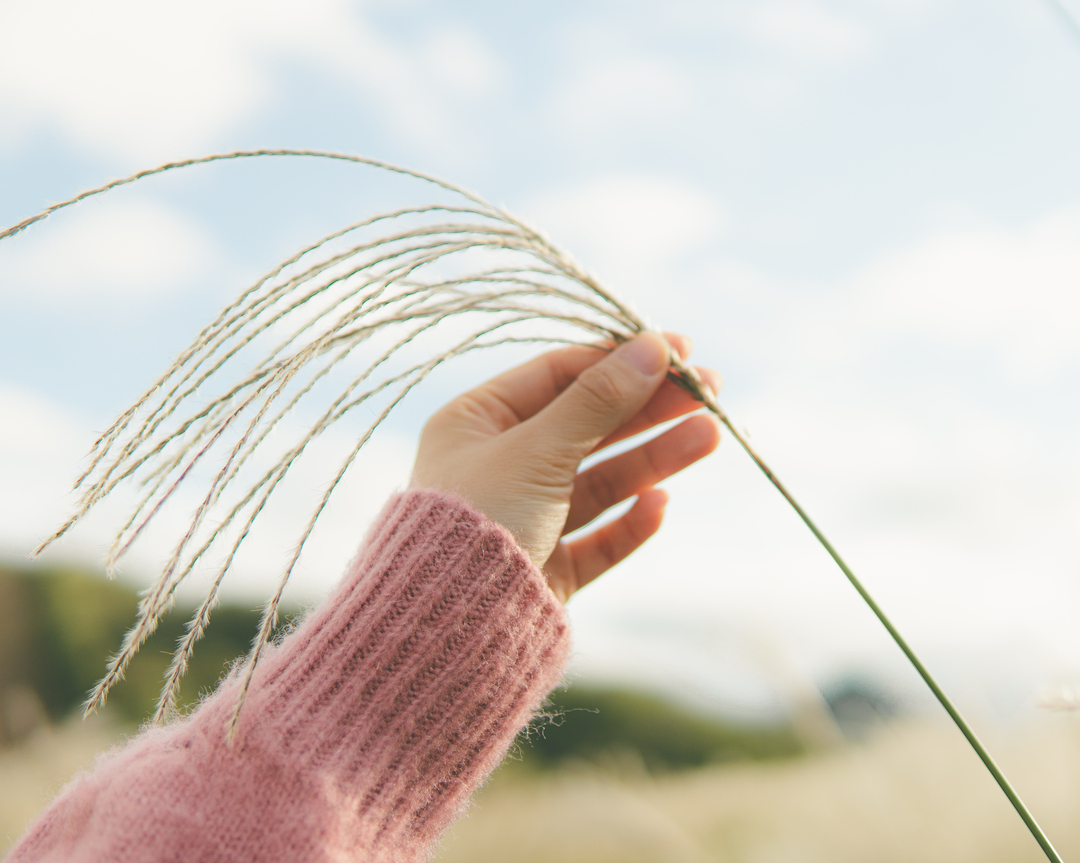 Thumb 422896de 69f3 4499 8b68 163aed3599db