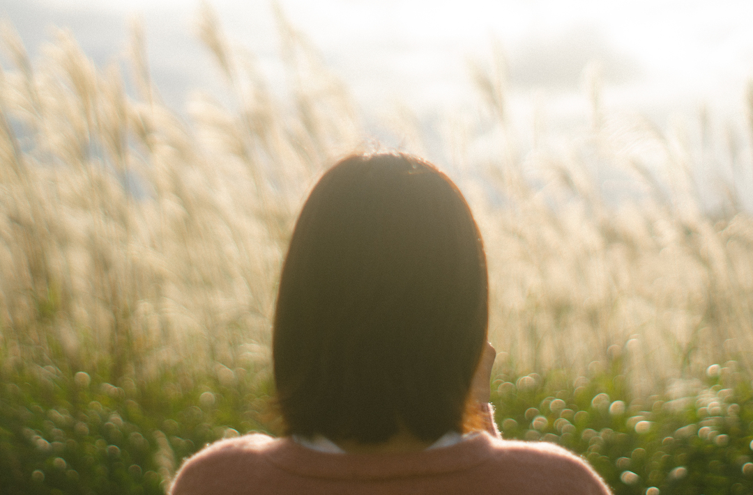 Thumb 04856bad e445 4f56 8dd4 e450be193e13