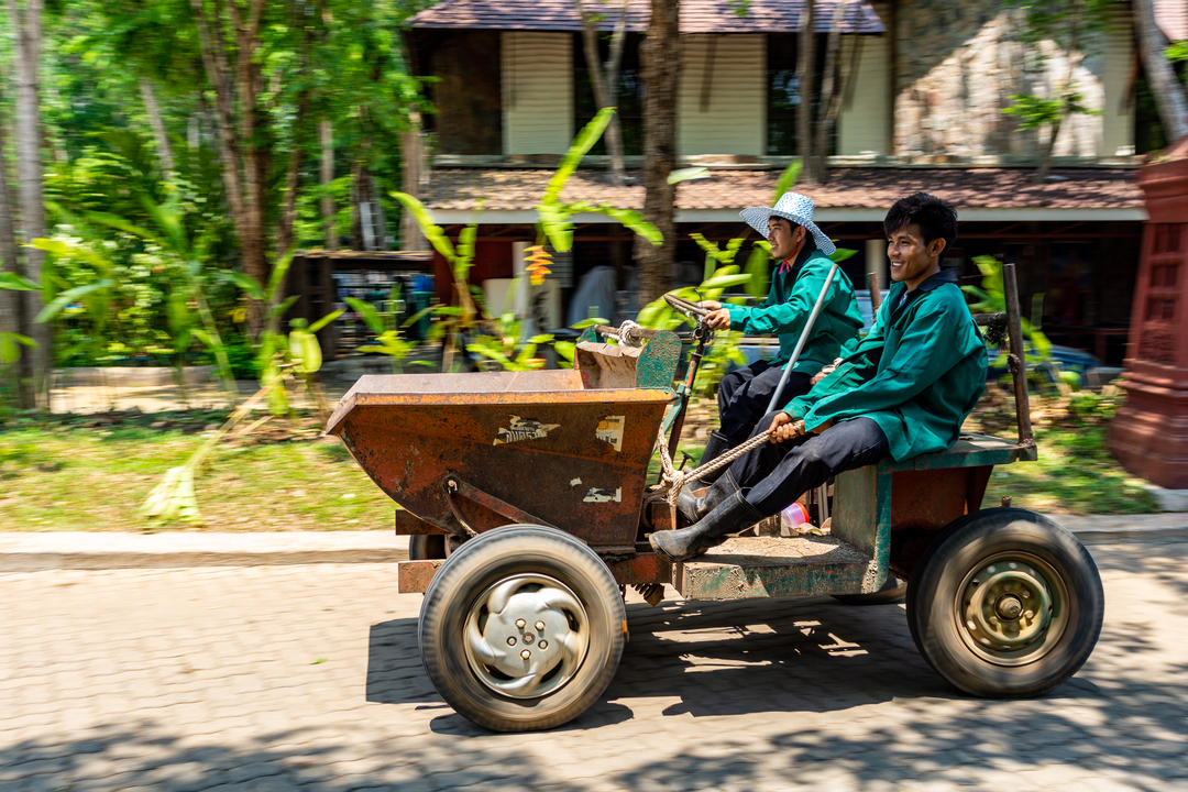 Thumb 86e1ec67 01be 45e9 93c4 dc1a9bf0263f