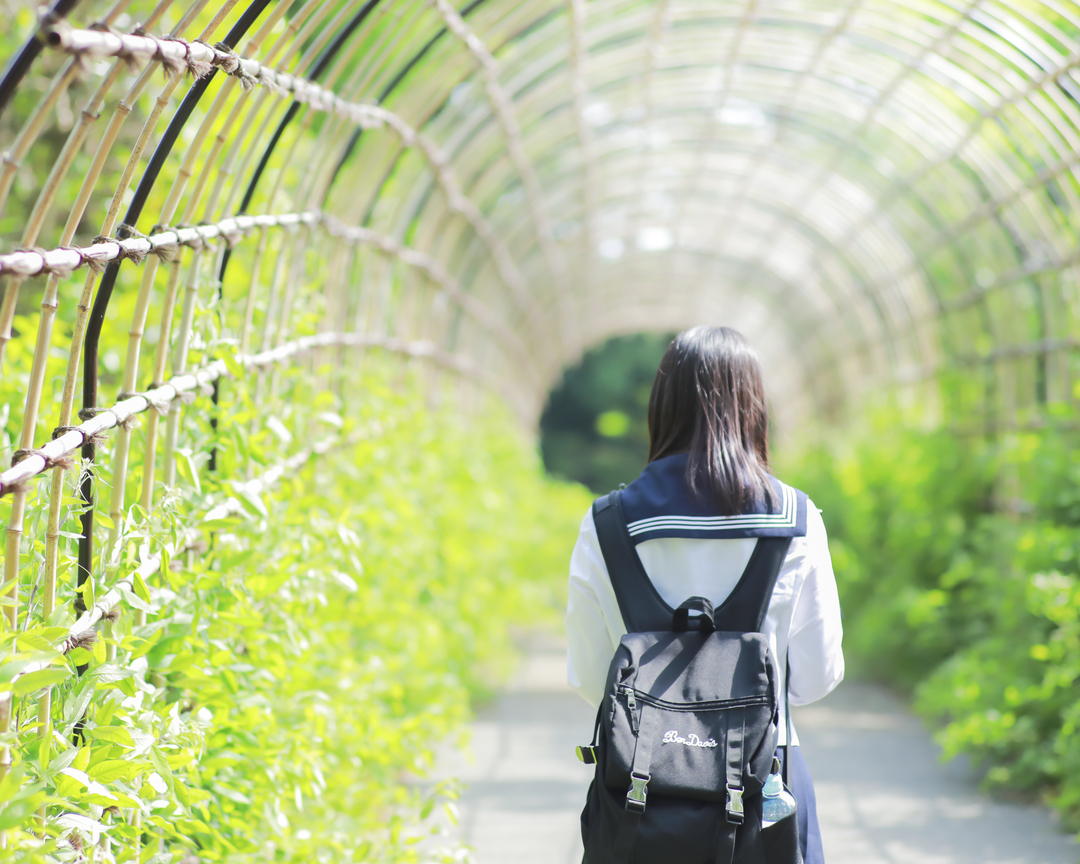 Thumb bde77b14 2a2c 44fc b03d 6ad6b9386543