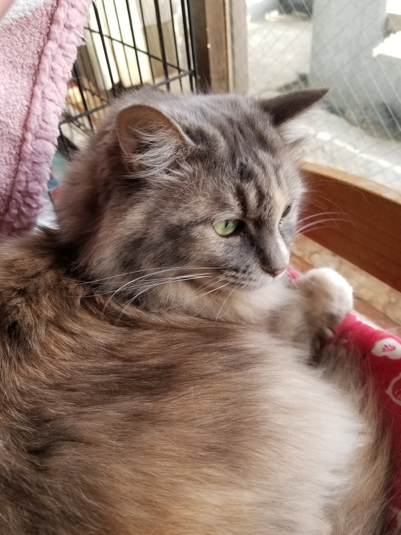 Thumb 51765263 54f3 42cb a45d 103afa3d4c23