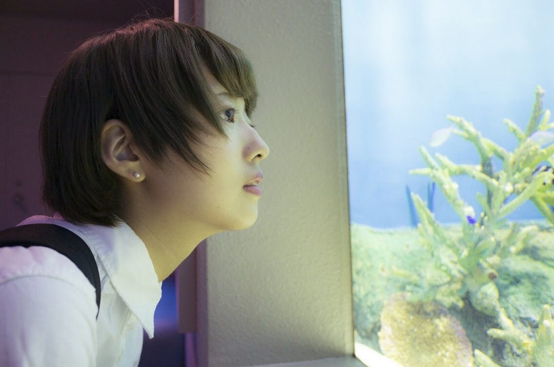 Thumb b37f7b48 6a9f 4333 aa4f a911aa77da45