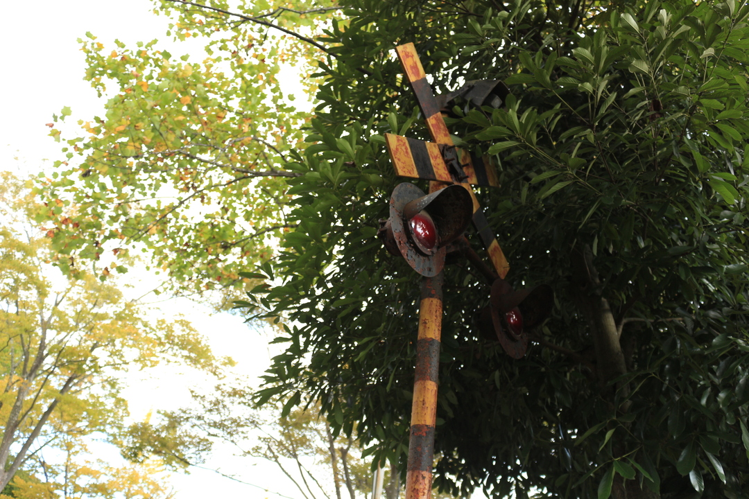 Thumb 244a4cd9 d29b 4e90 9680 17e81e63d986