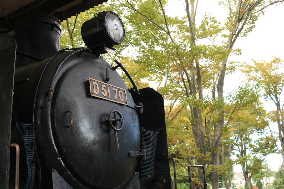 Thumb 6cfed386 be90 47ff 90df f209b6c1fa25