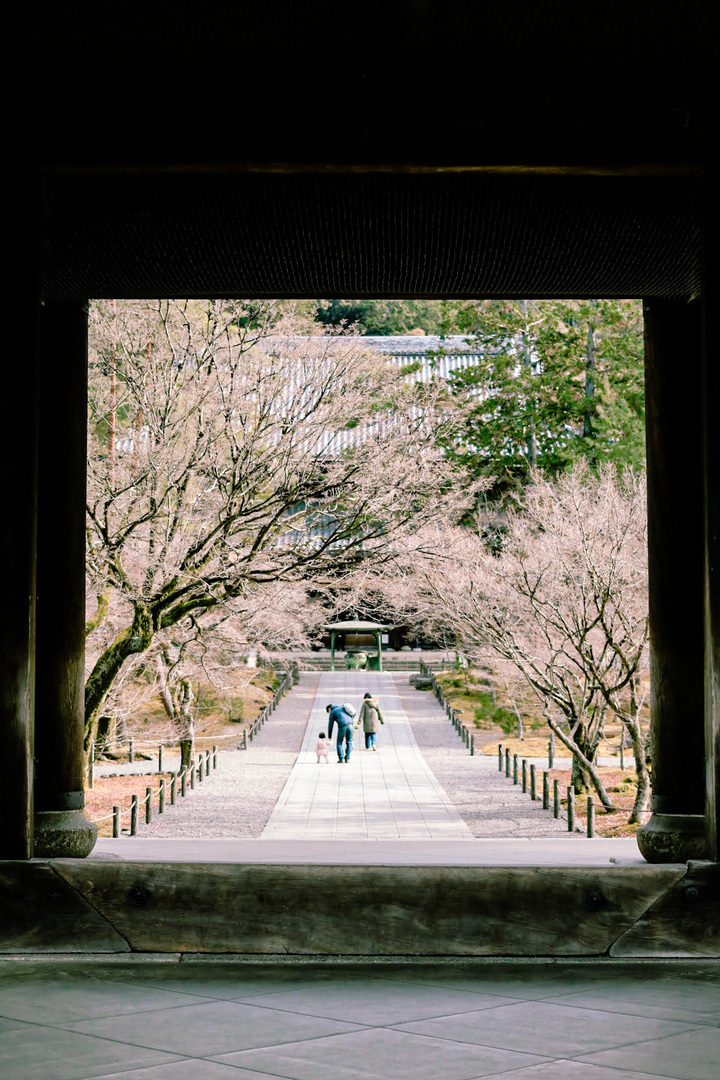 Thumb af49c6a4 88a8 4d57 815e 785912ee5a0e