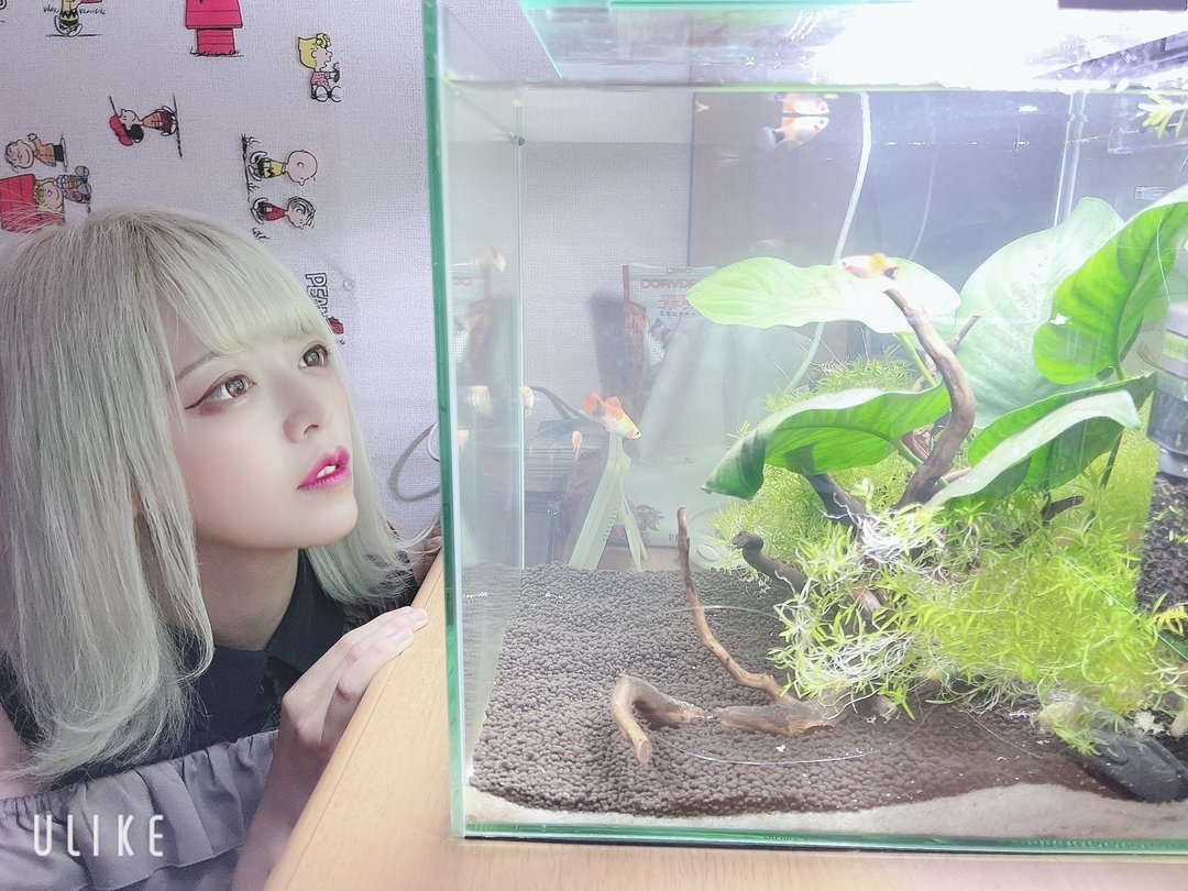 Thumb 9643d402 5ccf 43fe a6f3 930976ef3ffa