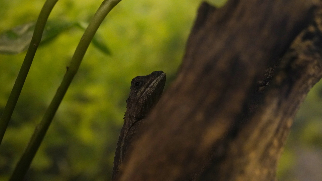 Thumb 49b39ab1 5369 404e 871e 0a81b3255b96