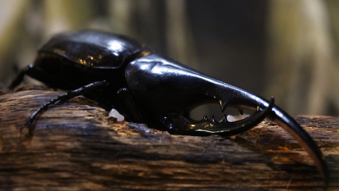 Thumb ed5419db f51f 4920 b744 8136bc09be8a