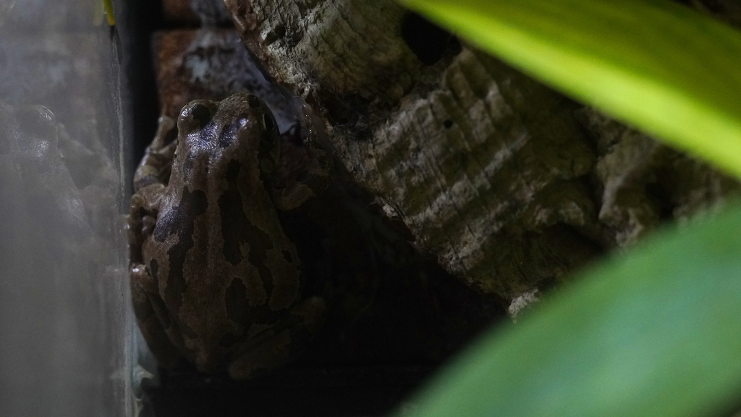 Thumb 035b3cd1 3a4e 4be3 87d1 b1e36caa55e0