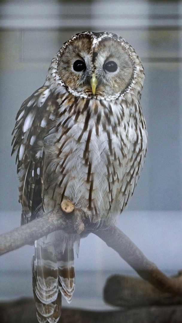 Thumb 5ffa0d7d c487 4d0c b68c 10c54164a28f