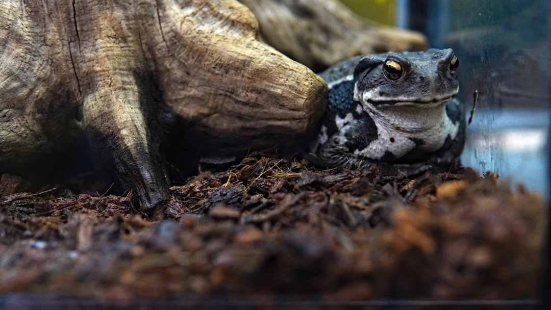 Thumb e23fc457 1417 43ce a6f8 2e17df240711