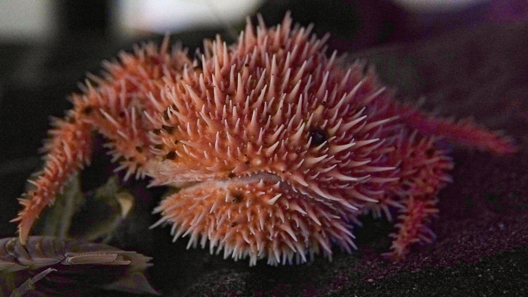 Thumb a54b344a 93a4 4da7 8d3c a8d2508e2197