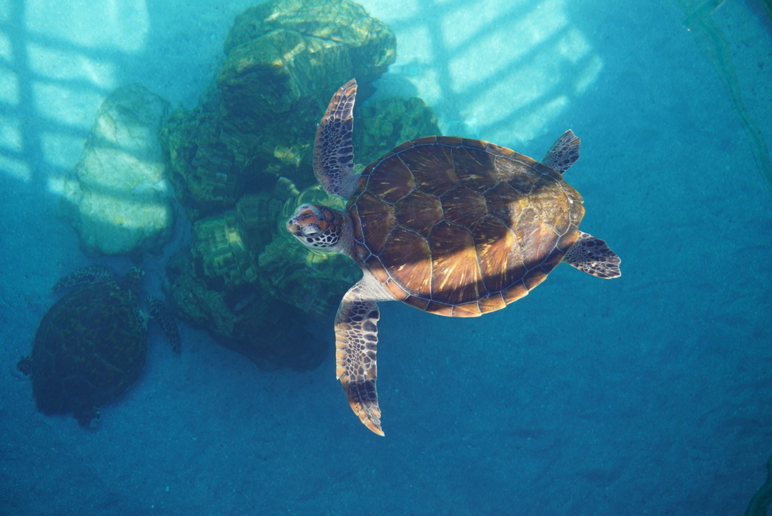 Thumb f379b1e3 f190 498c 9f83 a34b37dbc916