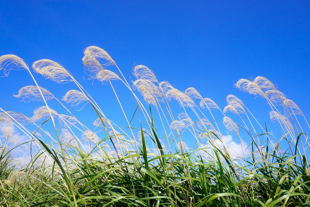 Thumb eebf49e3 9096 4f61 b58a 3e793c744213