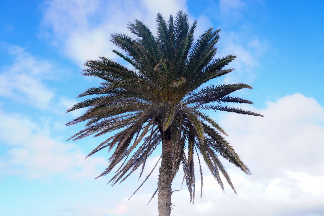 Thumb fa93568f fd4c 4fa4 8034 5eb6f07a1254