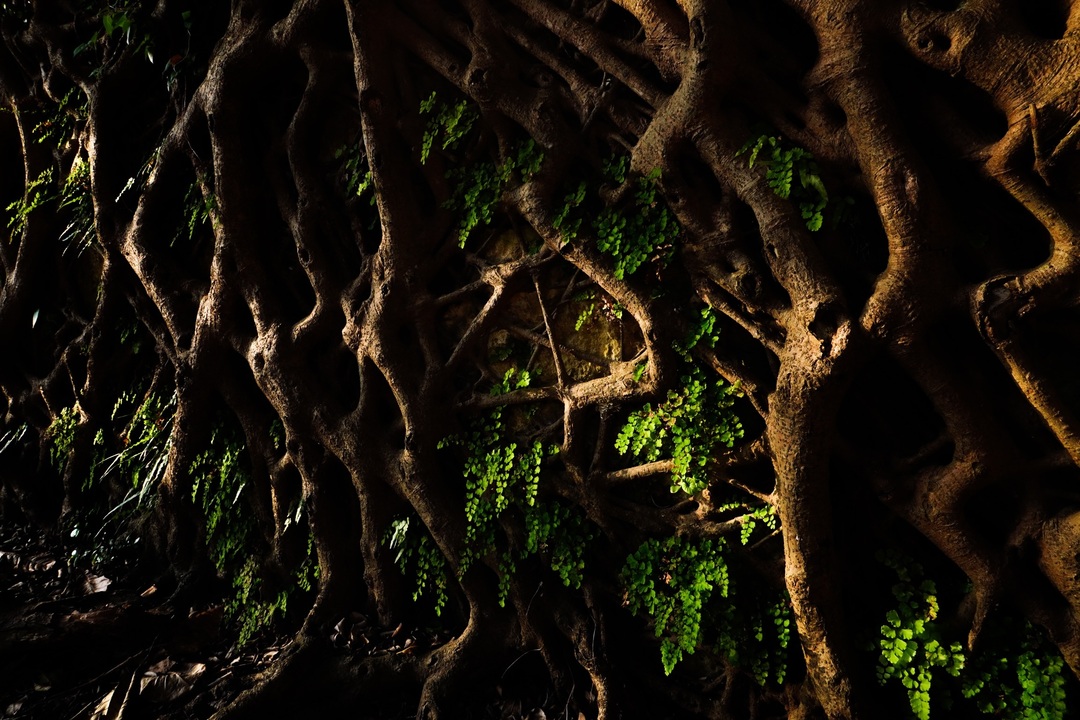 Thumb 06b86398 b26d 4ef1 827b daa914c24cca