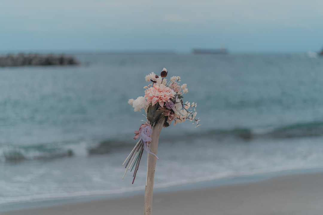 Thumb 77bd208c d1ba 4eda 8beb 33713ea04859