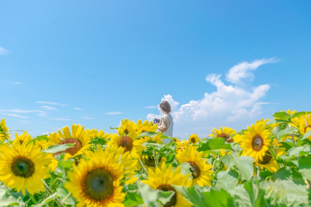 Thumb 4b8436ef dda0 43ff a8ab eec59113d309