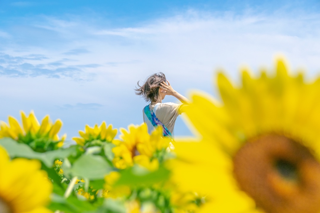 Thumb dd60e4e4 a034 4ca6 b34c 47cf768fc85e