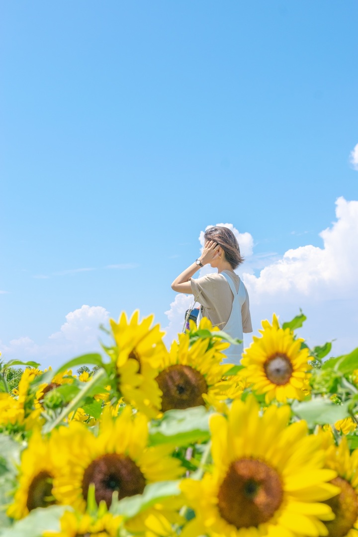 Thumb b44a9f42 1705 4a69 a536 a5d1c2cf9e61