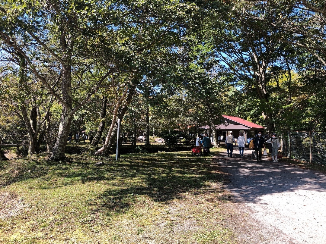 Thumb 86825d45 e765 4456 9952 2dbb9b9e9287