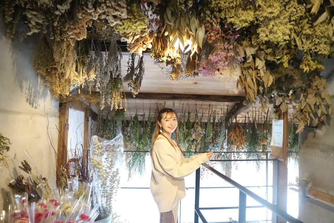 Thumb 6f5bcad2 88fb 4044 8db9 1cbe3c1241ab