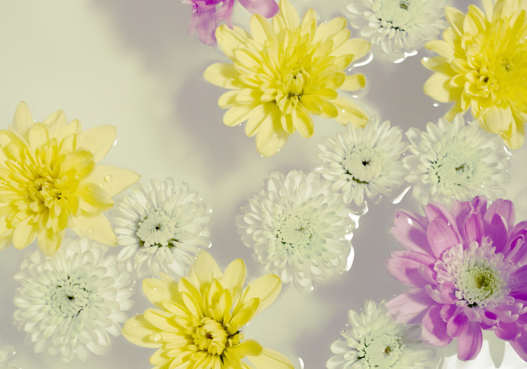 Thumb 8f159c53 201c 4138 a1ae 9eb52a66dc31