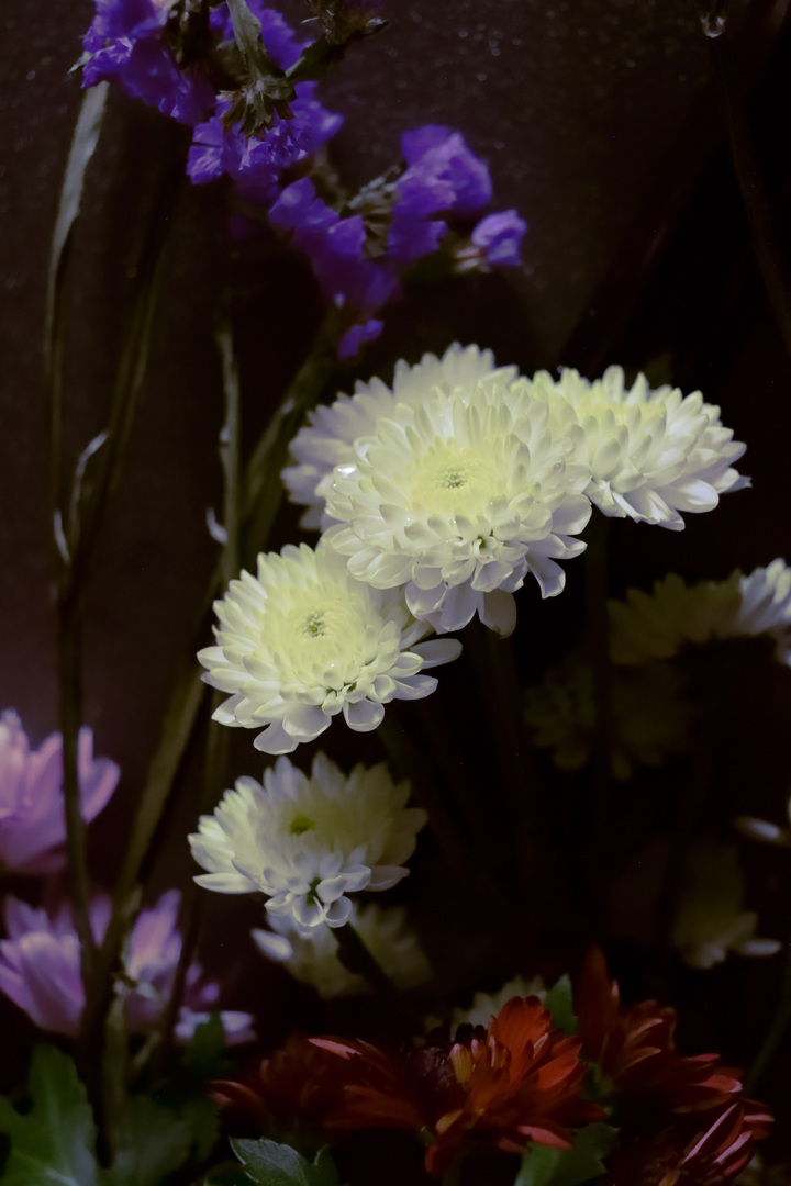 Thumb ad642ef9 4e54 4e1c aad6 faef34a975e8