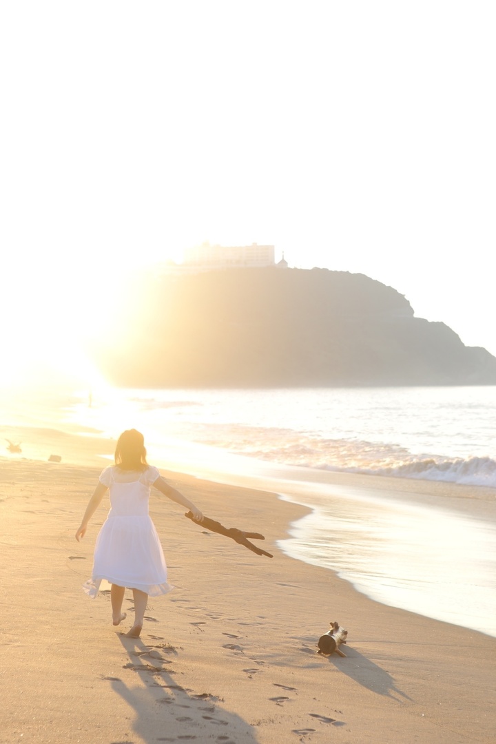 Thumb 9453a6ea dcdf 42ff 9b0f 5f97e83d1a39