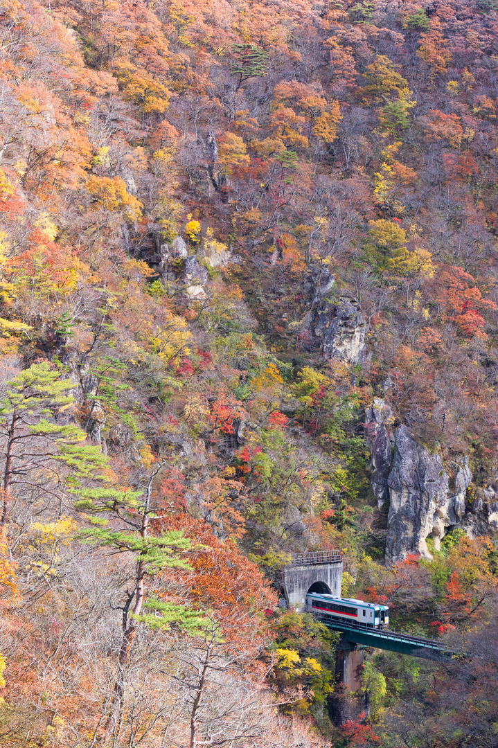 Thumb 8709af5f ae49 4647 a674 175a1442ca41