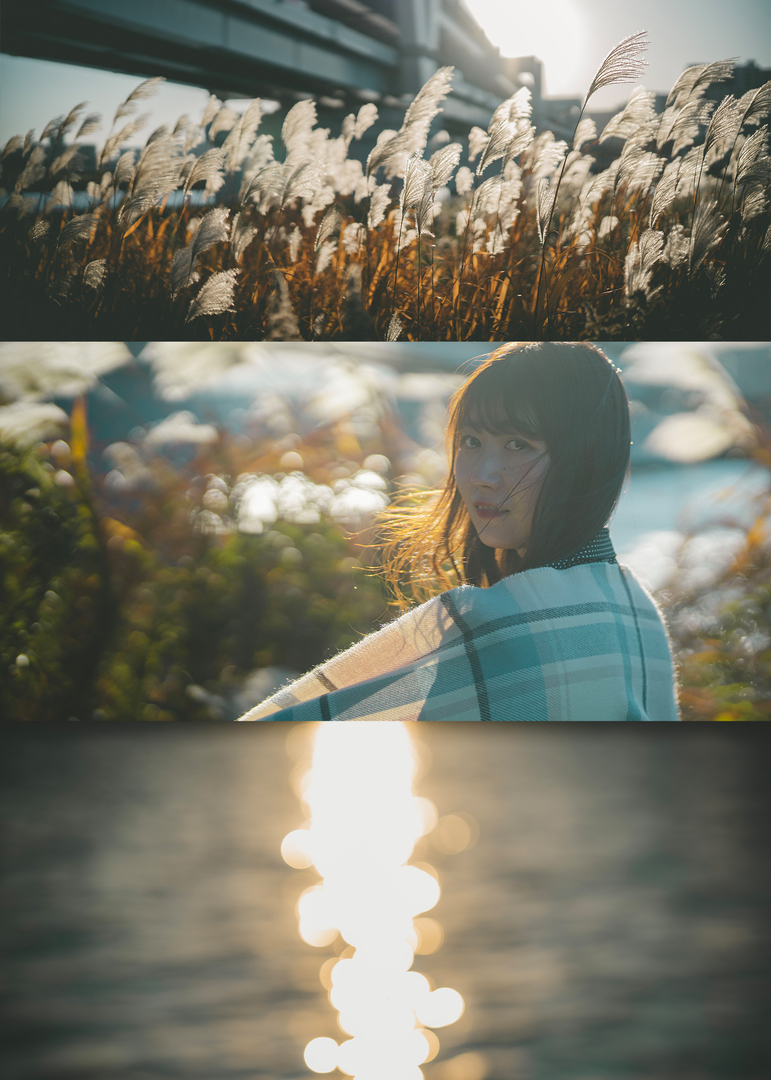 Thumb 6bc239ed a25a 471a b69d 08ca803e107c