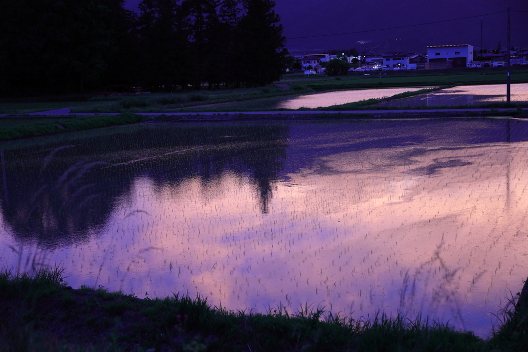 Thumb 2fed8750 1b27 4775 8774 521da6edc990