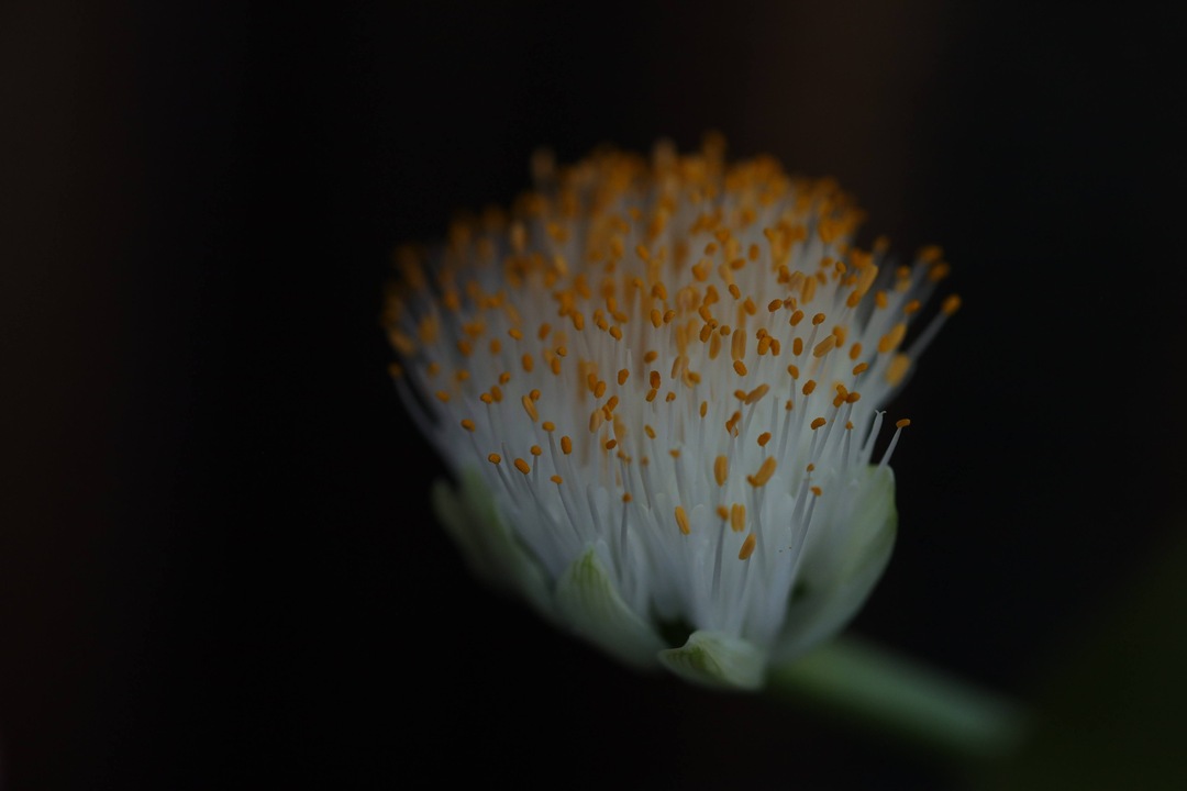 Thumb 61548ddc b2d9 460d 8ee1 bb08f8c020e4