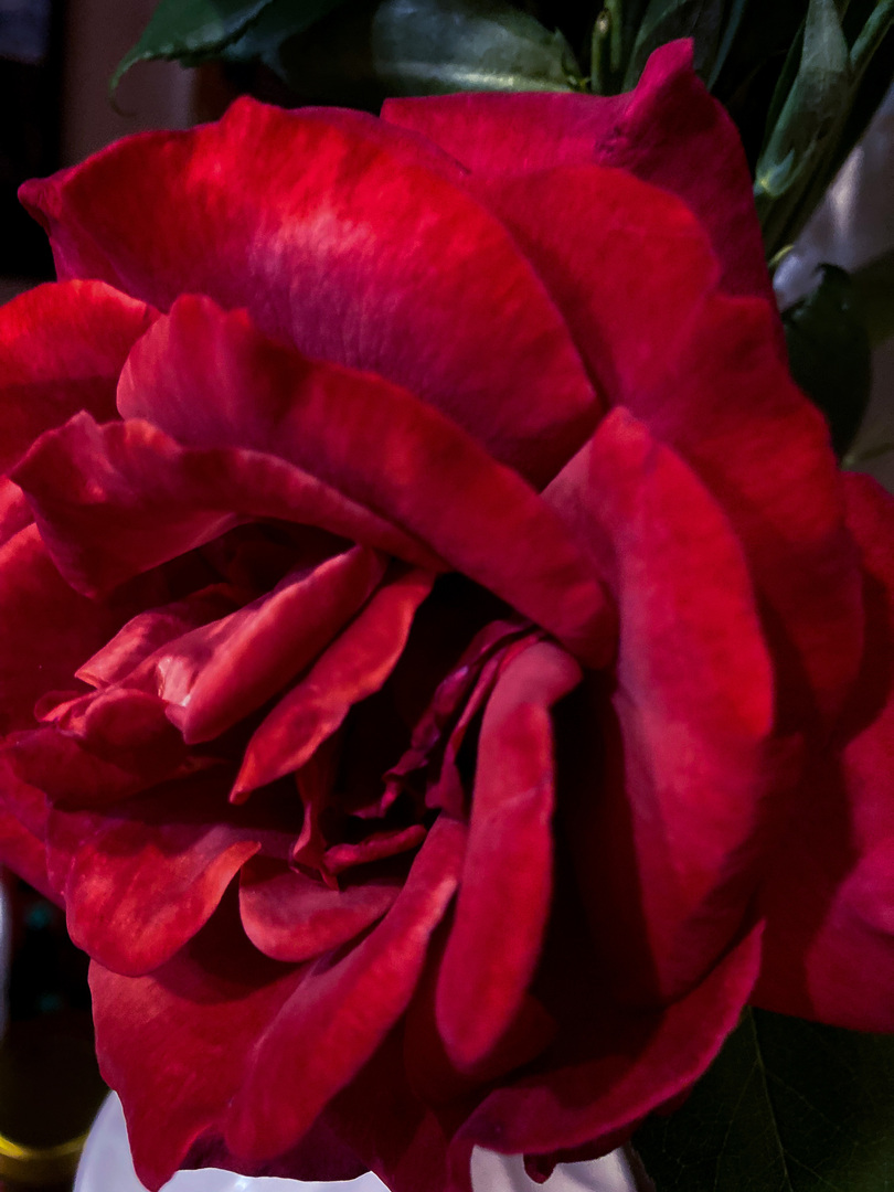 Thumb 552607aa 036b 490d 9571 362e1208dbf1