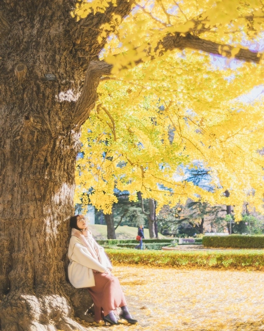 Thumb 7c79af9f 3e36 4cbb 9a03 2bba2ab88cc7